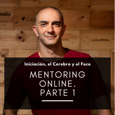 Parte 1 del Mentoring Online: Iniciación, el cerebro y el foco
